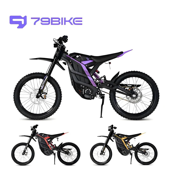 79 Bike Falcon Pro L1E